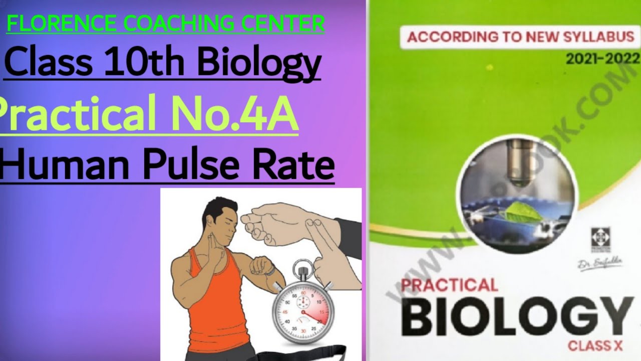 Class 10th Biology,Practical No.4A,To observe the Human Pulse Rate
