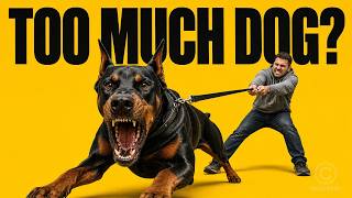 Why Dobermans Are Not for Everyone (Most Owners Learn Too Late)