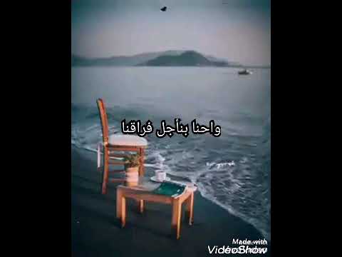 حالات واتس اغنية رامى جمال ازاى هنرجع