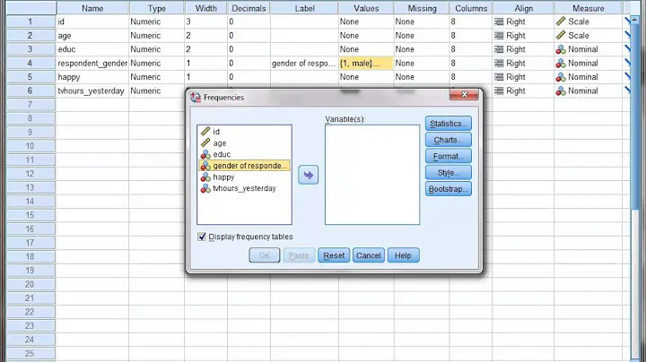 SPSS: Renaming Labeling Variables Values