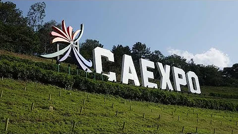 Full Steam Ahead: 17th China-ASEAN Expo - DayDayNews
