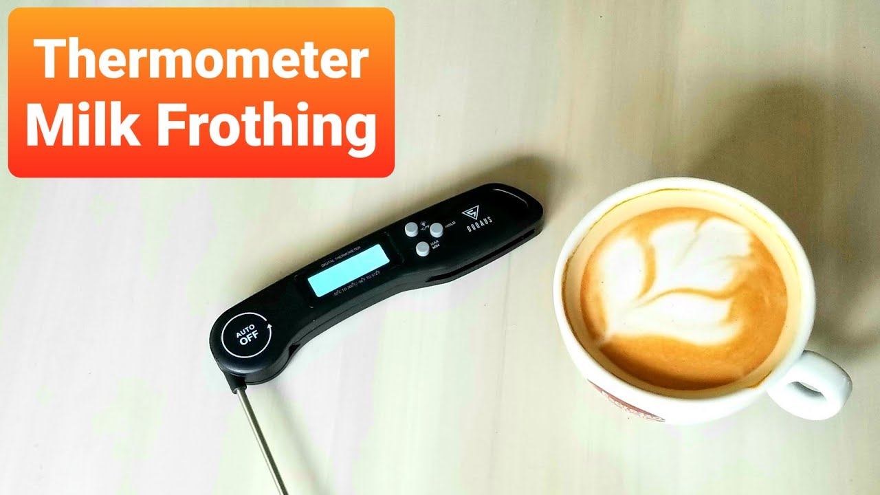 USE and CALIBRATE THERMOMETERS to froth & steam milk for milk coffee 