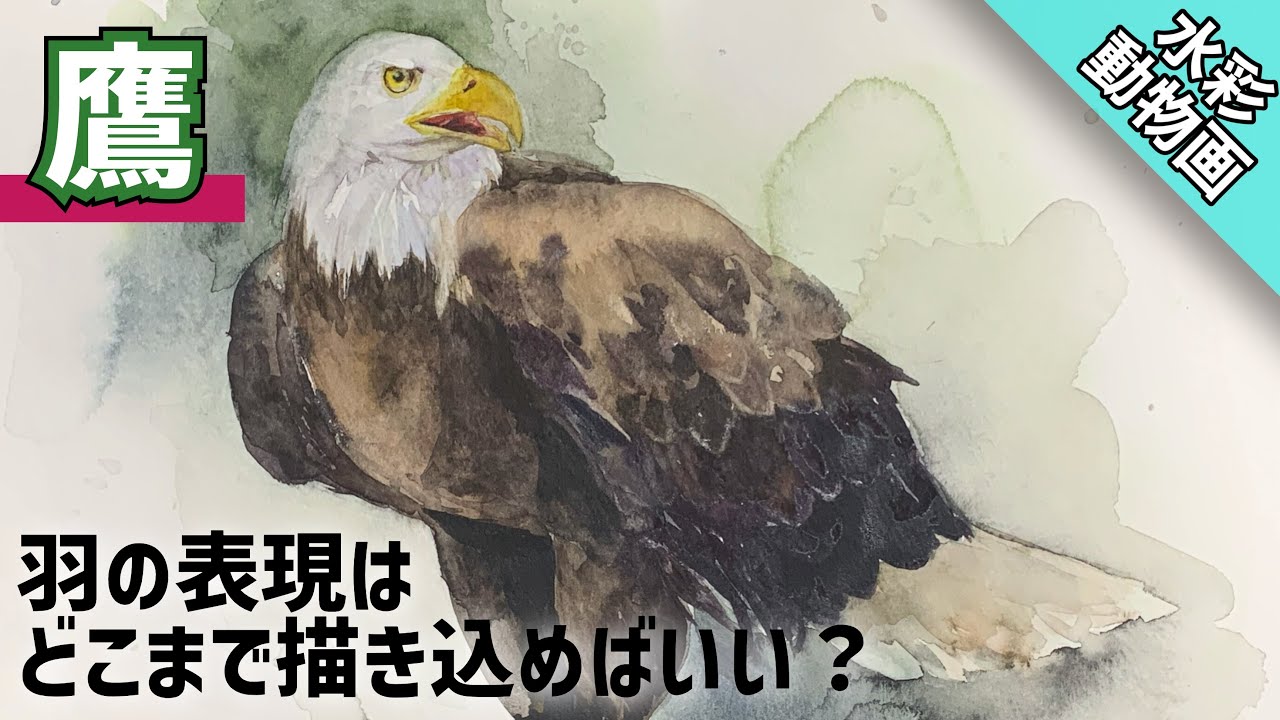 透明水彩画 カッコいい鷹を描く 描き方 つらら庵 Youtube