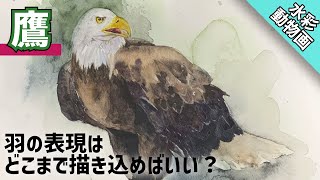 【透明水彩画】カッコいい鷹を描く/描き方 つらら庵