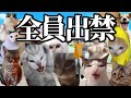 コンビニに来るやばすぎるクレーマー達まとめてみた #猫ミーム #猫マニ #社畜