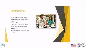 Programs in Cyber Security, Marketing Intelligence, Computer Science by Towson University