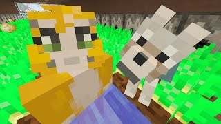 Minecraft Xbox - Hot Potato [411]