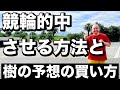 競輪的中させる方法と樹の予想の買い方