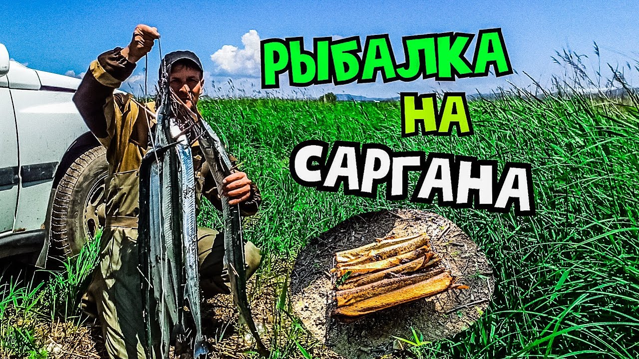 ЛОВЛЯ САРГАНА. БЮДЖЕТНАЯ СНАСТЬ НА САРГАНА. САРГАН ГОРЯЧЕГО КОПЧЕНИЯ.   