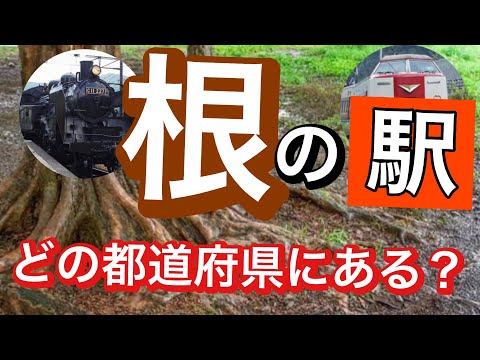 【鉄道クイズ】「根」の駅　どの都道府県にある？駅名クイズ