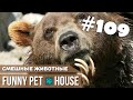 СМЕШНЫЕ ЖИВОТНЫЕ И ПИТОМЦЫ #109 СЕНТЯБРЬ 2019 | Funny Pet House