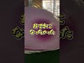 巨大カクレモモジリが夜中に大変な事に