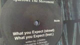 洋楽 Sparrow The Movement / What You Expect Sparrow The Movement What You Expect Vinyl LP Rap Street
