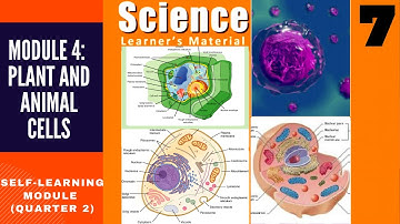 SCIENCE 7 | QUARTER 2 | MODULE 4: PLANT AND ANIMAL CELLS | SELF-LEARNING MODULES