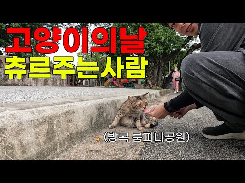 세계 고양이의날에 츄르주는사람 - 태국[9]