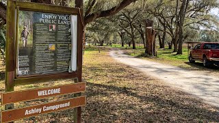 Free Camping in Florida at Ashley Campground