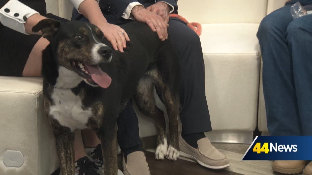 Furry Friend Friday: Meet Anya!