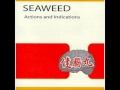 Seaweed - Antilyrical