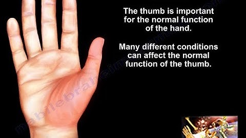 Common and painful Conditions of theThumb - Everything You Need To Know - Dr. Nabil Ebraheim
