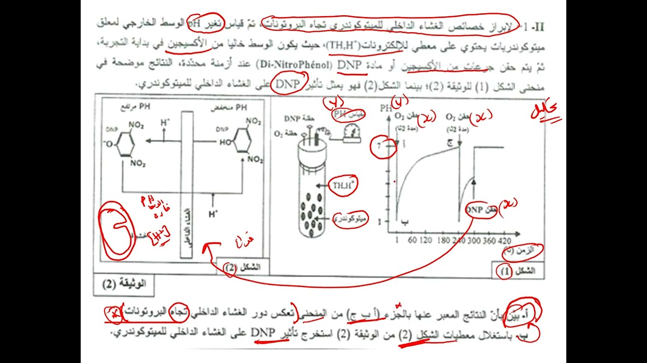 العرض 12  حل الجزء االثاني  من باك 2015 دور ثانئي الاكسجين في نقل البروتونات من الداخل الى الفراغ