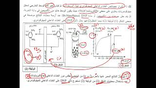 العرض 12  حل الجزء االثاني  من باك 2015 دور ثانئي الاكسجين في نقل البروتونات من الداخل الى الفراغ