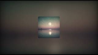 Seni Sensiz Seviyorum