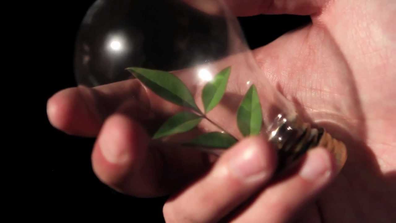Video Production Company Charlotte, NC - LensFlare Creations - YouTube