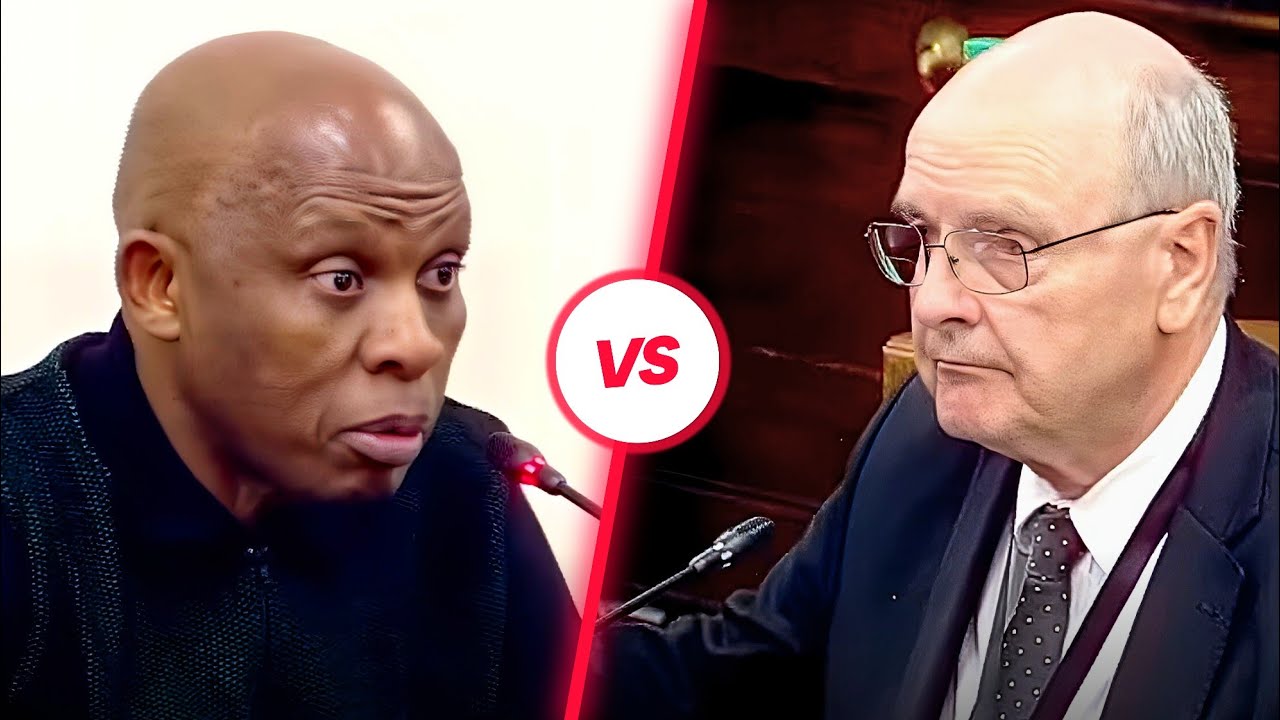 MK Party MP David Skosana CLASHES with Paul O'Sullivan at Ad Hoc Committee