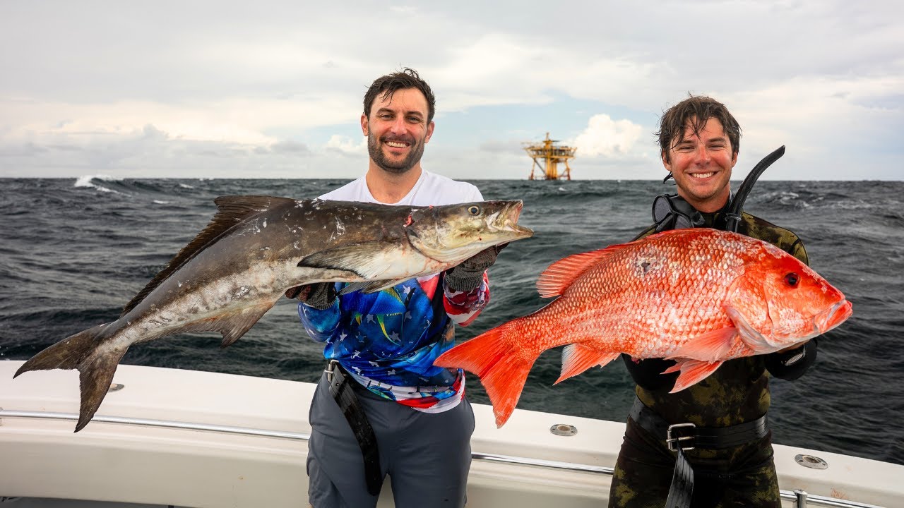 Spearfishing Louisiana Oil Rigs | Big Fish, Big Sharks, & Big Seas!