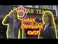 Elya kwsp buat shark mengamuk