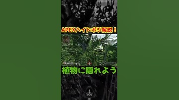 APEXハイドポジション解説！深めの草×影