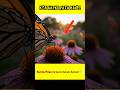 Butterflies Ka Shocking Biology Fact! 🤯 #sciencefacts #facttechz #thefact #biologyfacts #viral2026
