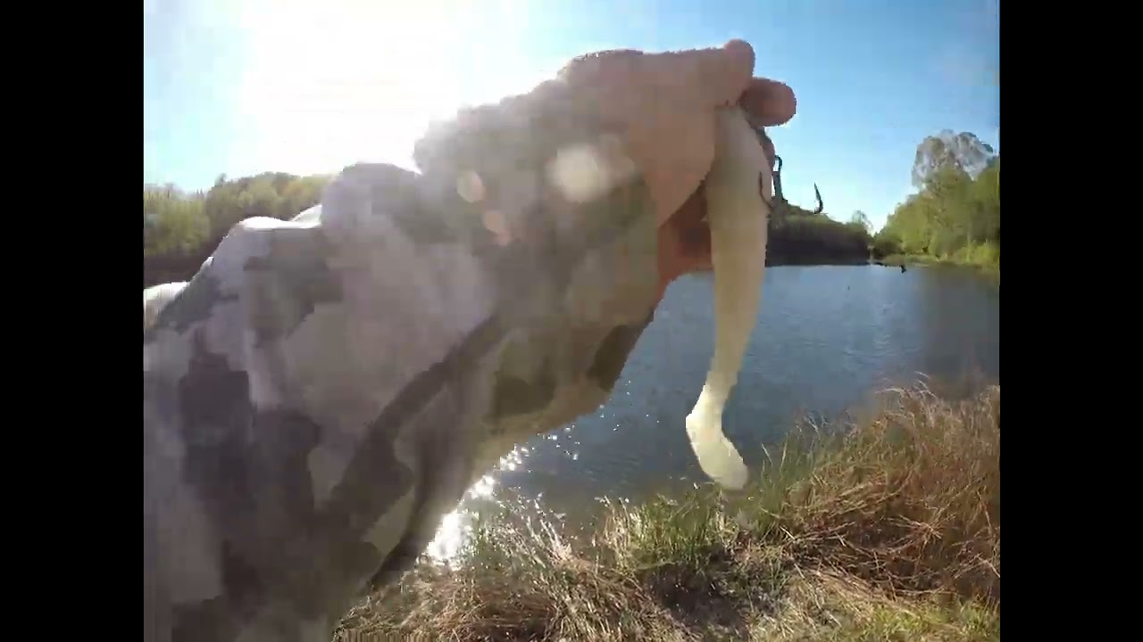 Float Tube Bass Fishing, October 5th 5.7-pound bass