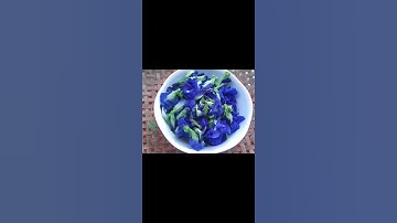 Trà hoa đậu biếc có khả năng ngăn ngừa và hỗ trợ điều trị ung thư #shorts