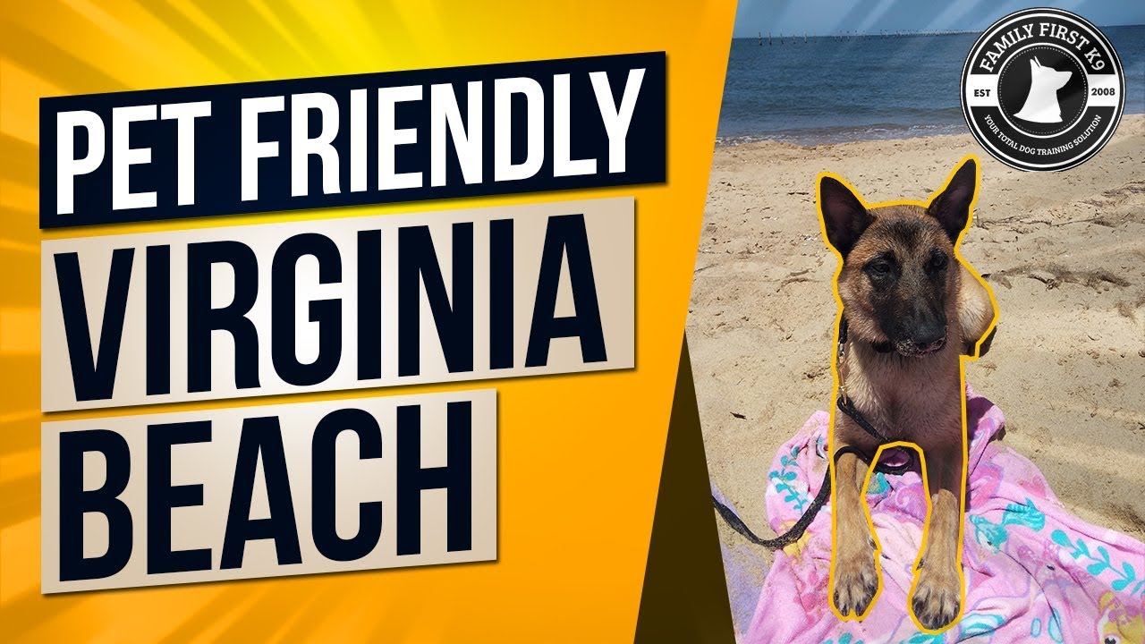 Pet Friendly Virginia Beach Family Road Trip YouTube Pet Friendly Virginia Beach Family Road Trip YouTube