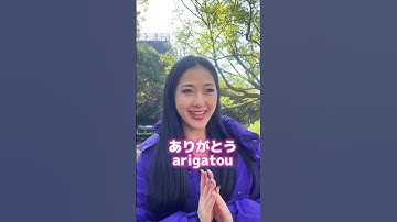 Basic Japanese Words & Phrases