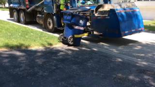 Yard waste part one