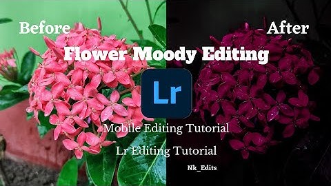 Lightroom Tutorial | Moody Flower Editing | Dark Moody | Lightroom Mobile Editing Tutorial