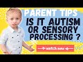 AUTISM SPECTRUM DISORDER SYMPTOMS // Is it sensory processing or autism?