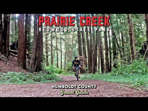 Video: Prairie Creek Redwoods State Park: The Complete Guide