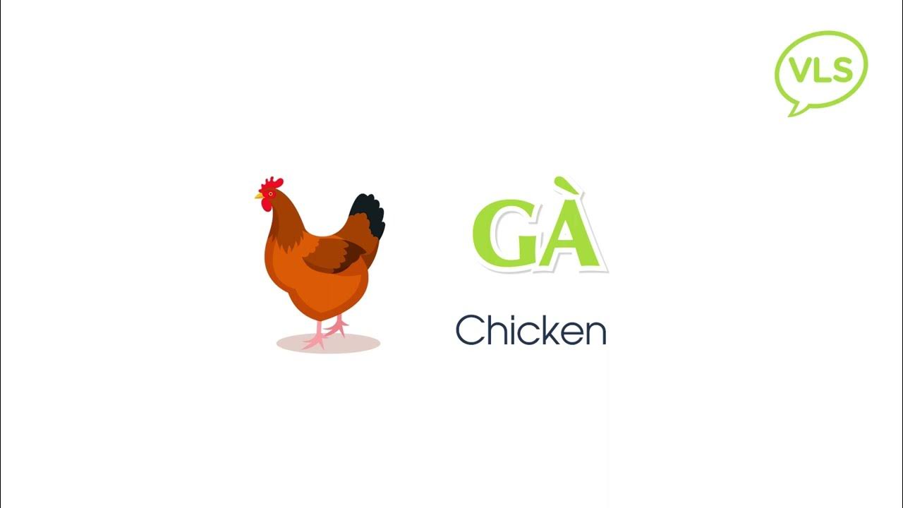Daily Vietnamese Pronunciation 184 How to Say "Chicken " in