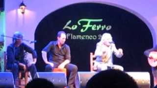 Capullo De Jerez En Lo Ferro(Murcia)2013-Fandangos-Oleee k Buenas Letras