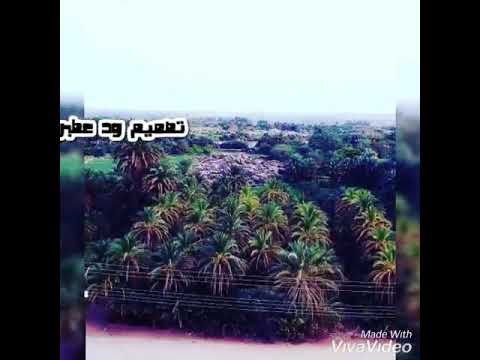 قيقم فوق ولاية النيل داير اجر نمي