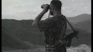 Шамиль Оскар - Не надо Шамиль Оскар - Не надо