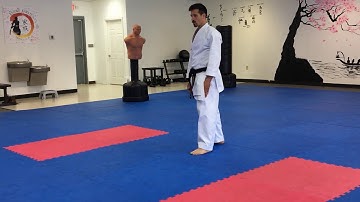 Wado Ryu Basic Techniques, Kazoku Karate dojo 4th Kyu (Blue Belt)
