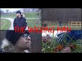 The walking man  project december 2022