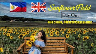 Day out at SUNFLOWER FIELD, UK