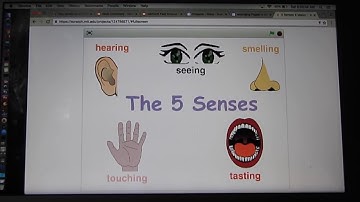 Scratch & Makey Makey