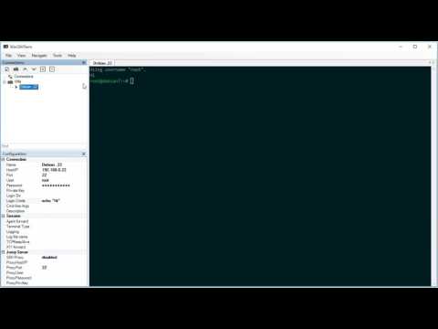WinSSHTerm - Automatically run commands after login