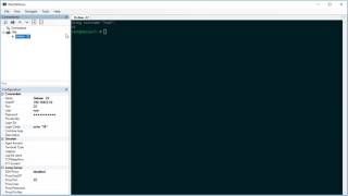 WinSSHTerm - Automatically run commands after login